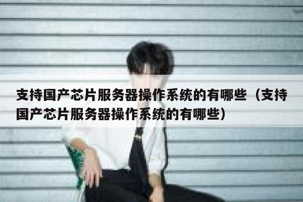 支持国产芯片服务器操作系统的有哪些（支持国产芯片服务器操作系统的有哪些） 第1张