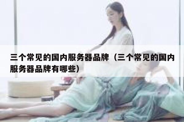 三个常见的国内服务器品牌（三个常见的国内服务器品牌有哪些） 第1张