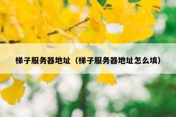 梯子服务器地址（梯子服务器地址怎么填） 第1张
