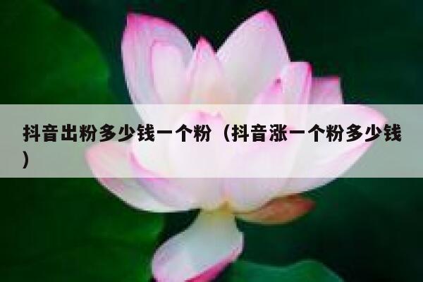 抖音出粉多少钱一个粉（抖音涨一个粉多少钱） 第1张