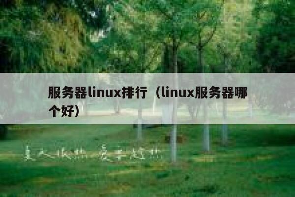 服务器linux排行（linux服务器哪个好） 第1张