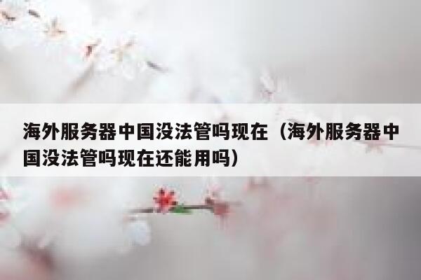 海外服务器中国没法管吗现在（海外服务器中国没法管吗现在还能用吗） 第1张