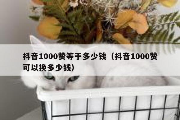 抖音1000赞等于多少钱（抖音1000赞可以换多少钱） 第1张