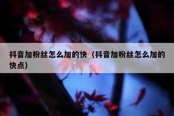 抖音加粉丝怎么加的快（抖音加粉丝怎么加的快点） 第1张