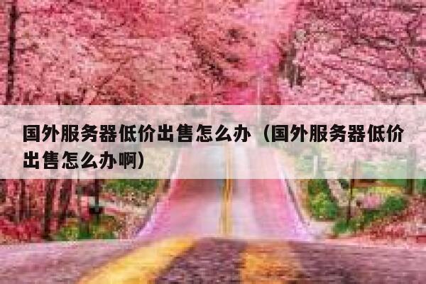 国外服务器低价出售怎么办（国外服务器低价出售怎么办啊） 第1张