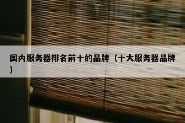 国内服务器排名前十的品牌（十大服务器品牌） 第1张