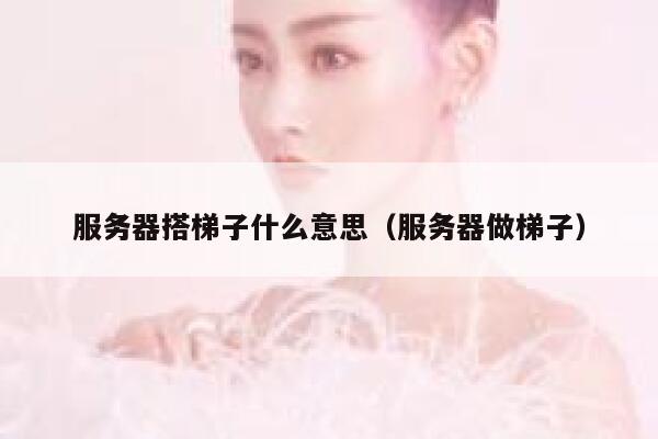 服务器搭梯子什么意思（服务器做梯子） 第1张