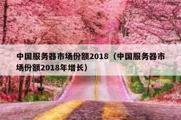 中国服务器市场份额2018（中国服务器市场份额2018年增长） 第1张