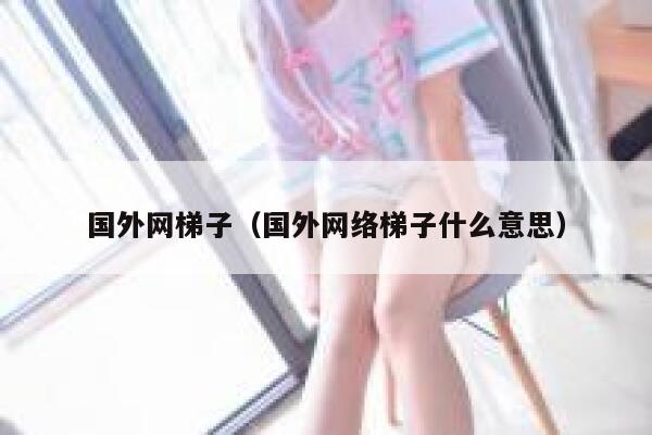 国外网梯子（国外网络梯子什么意思） 第1张