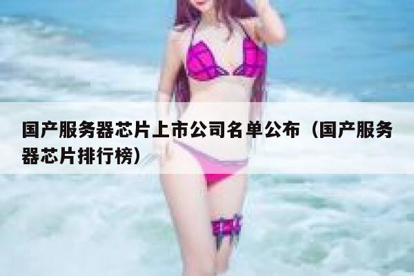 国产服务器芯片上市公司名单公布（国产服务器芯片排行榜） 第1张