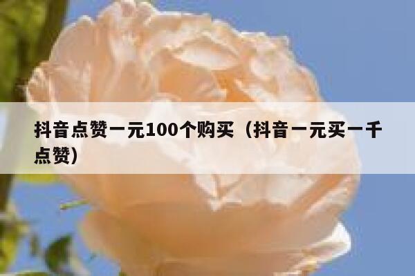 抖音点赞一元100个购买（抖音一元买一千点赞） 第1张