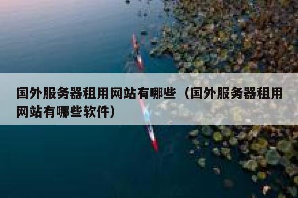 国外服务器租用网站有哪些（国外服务器租用网站有哪些软件） 第1张