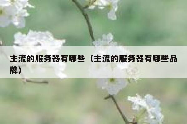 主流的服务器有哪些（主流的服务器有哪些品牌） 第1张