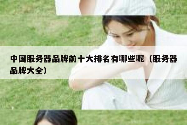 中国服务器品牌前十大排名有哪些呢（服务器品牌大全） 第1张