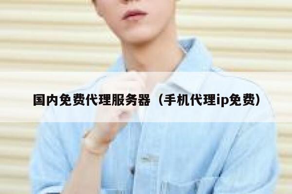 国内免费代理服务器（手机代理ip免费） 第1张