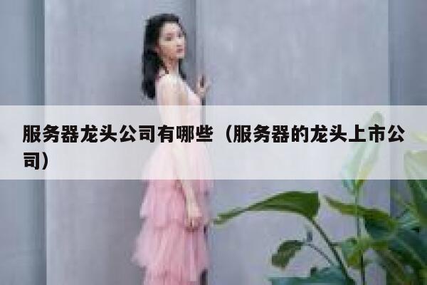 服务器龙头公司有哪些（服务器的龙头上市公司） 第1张