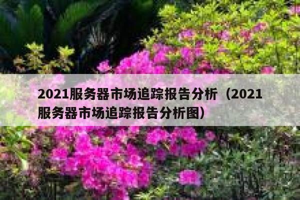2021服务器市场追踪报告分析（2021服务器市场追踪报告分析图） 第1张