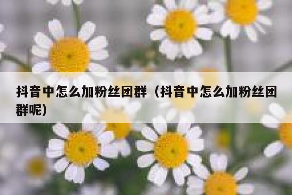 抖音中怎么加粉丝团群（抖音中怎么加粉丝团群呢） 第1张