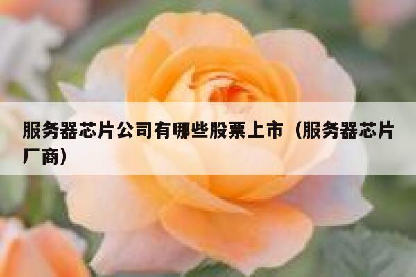 服务器芯片公司有哪些股票上市（服务器芯片厂商） 第1张
