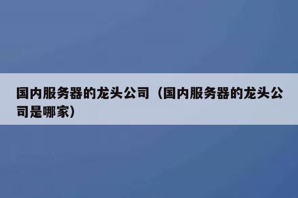 国内服务器的龙头公司（国内服务器的龙头公司是哪家） 第1张