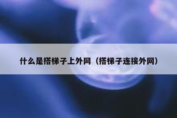 什么是搭梯子上外网（搭梯子连接外网） 第1张
