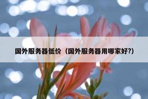 国外服务器低价（国外服务器用哪家好?） 第1张