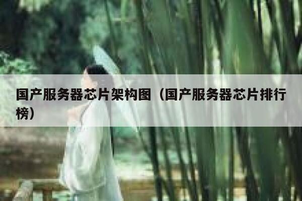 国产服务器芯片架构图（国产服务器芯片排行榜） 第1张