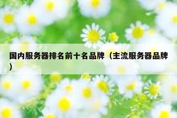 国内服务器排名前十名品牌（主流服务器品牌） 第1张