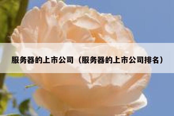 服务器的上市公司（服务器的上市公司排名） 第1张