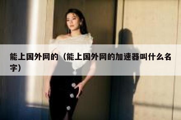 能上国外网的（能上国外网的加速器叫什么名字） 第1张