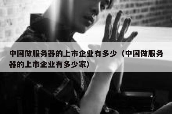 中国做服务器的上市企业有多少（中国做服务器的上市企业有多少家） 第1张
