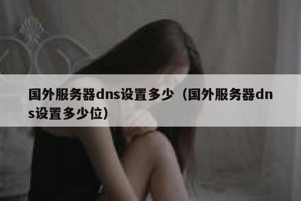 国外服务器dns设置多少（国外服务器dns设置多少位） 第1张