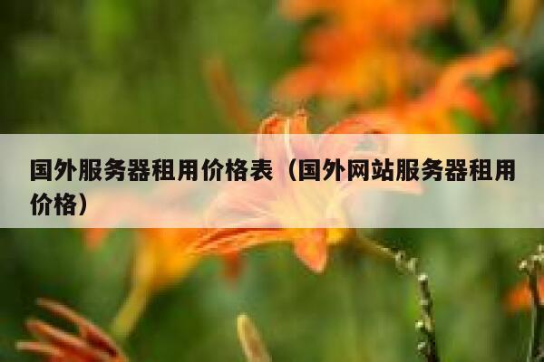 国外服务器租用价格表（国外网站服务器租用价格） 第1张