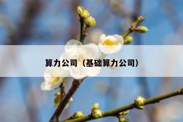 算力公司（基础算力公司） 第1张