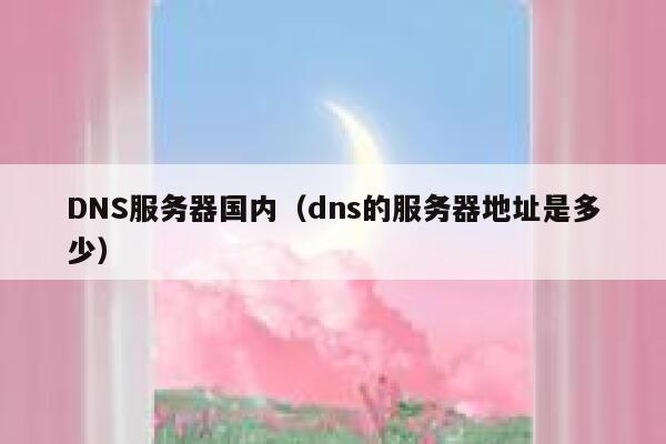 DNS服务器国内（dns的服务器地址是多少） 第1张
