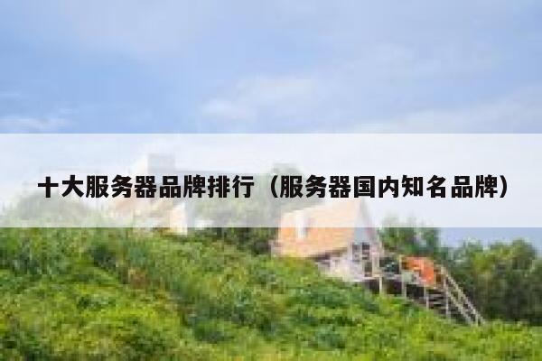 十大服务器品牌排行（服务器国内知名品牌） 第1张
