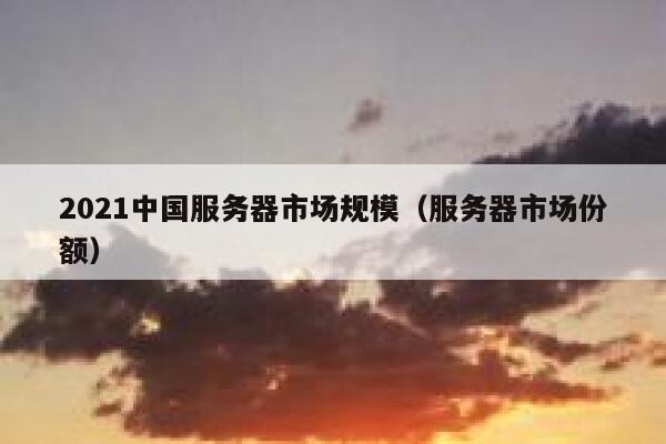 2021中国服务器市场规模（服务器市场份额） 第1张