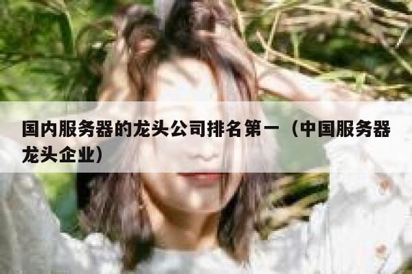 国内服务器的龙头公司排名第一（中国服务器龙头企业） 第1张