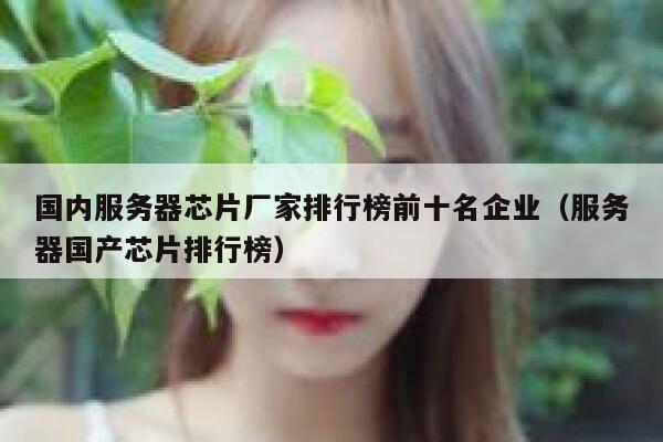 国内服务器芯片厂家排行榜前十名企业（服务器国产芯片排行榜） 第1张