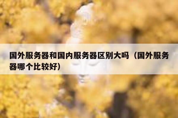 国外服务器和国内服务器区别大吗（国外服务器哪个比较好） 第1张