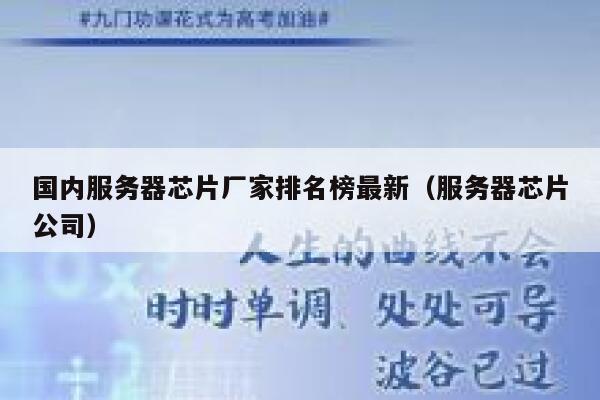 国内服务器芯片厂家排名榜最新（服务器芯片公司） 第1张