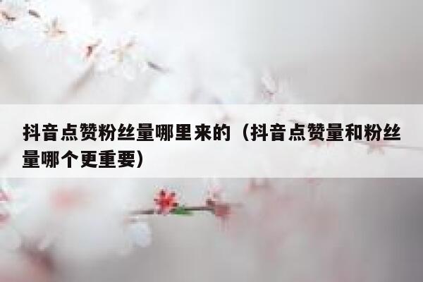抖音点赞粉丝量哪里来的（抖音点赞量和粉丝量哪个更重要） 第1张