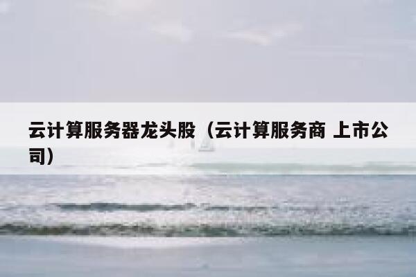 云计算服务器龙头股（云计算服务商 上市公司） 第1张