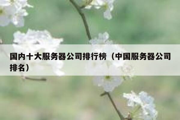 国内十大服务器公司排行榜（中国服务器公司排名） 第1张