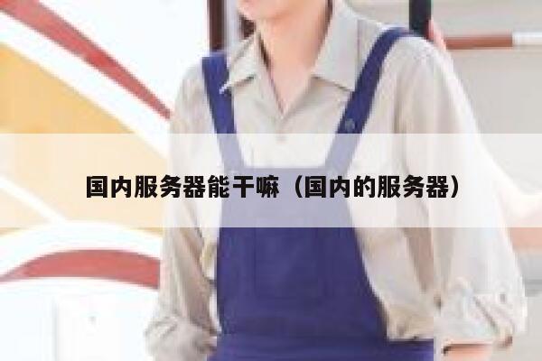 国内服务器能干嘛（国内的服务器） 第1张