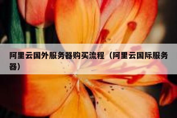 阿里云国外服务器购买流程（阿里云国际服务器） 第1张
