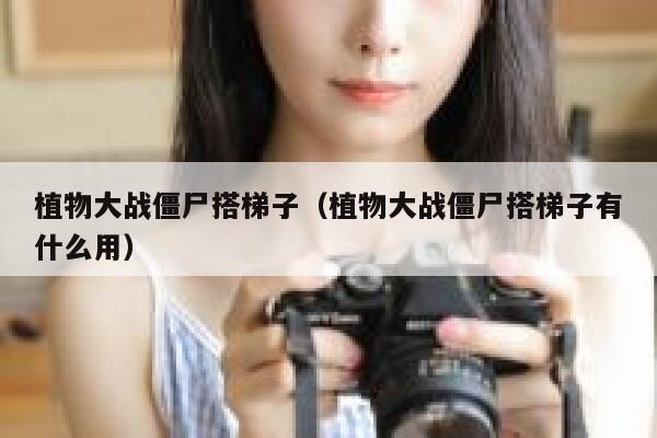 植物大战僵尸搭梯子（植物大战僵尸搭梯子有什么用） 第1张