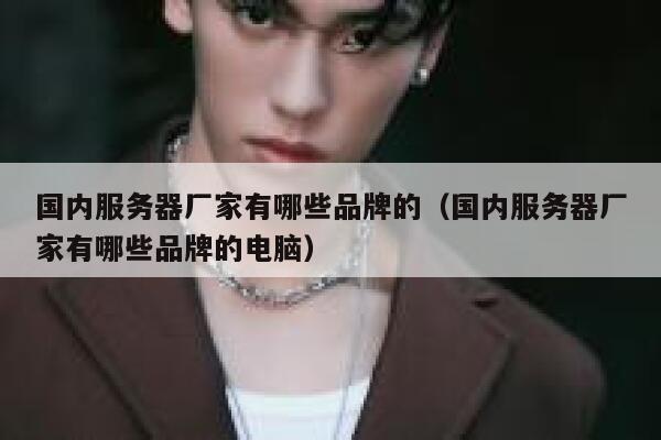 国内服务器厂家有哪些品牌的（国内服务器厂家有哪些品牌的电脑） 第1张