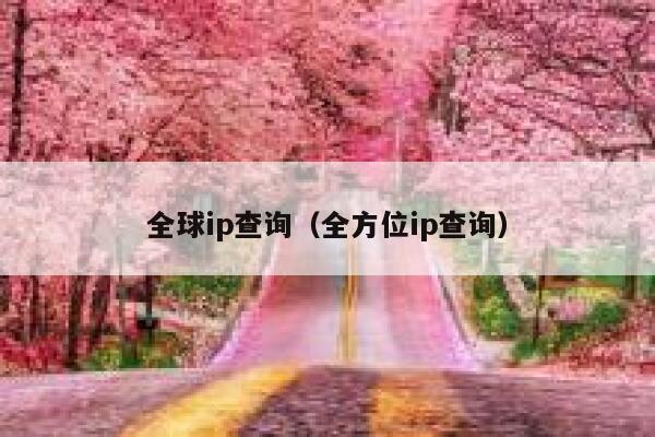 全球ip查询（全方位ip查询） 第1张