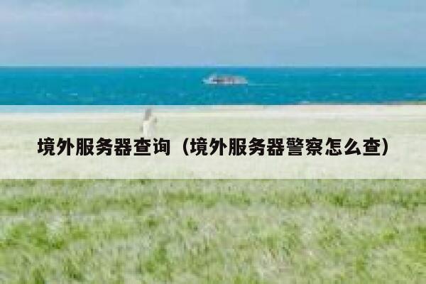 境外服务器查询（境外服务器警察怎么查） 第1张